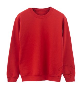 Sudadera Unisex Sin Capucha PLATINUM - Playeras King Sudadera
